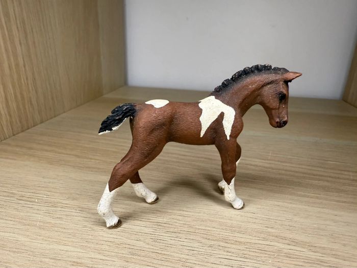 Poulain trakehnen schleich