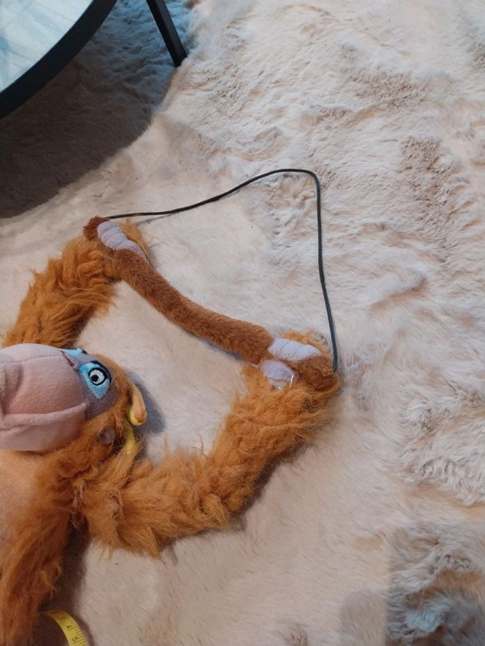 Singe - photo numéro 2