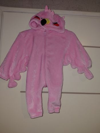 Deguisement ou manteau 