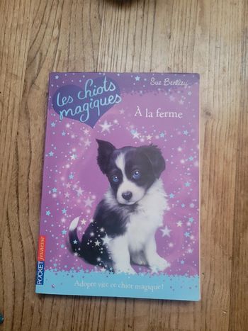 Les chiots magiques: à la ferme