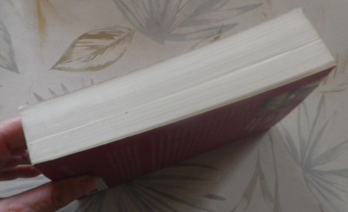 Les Amours de Lou de Marie-Claude Gay Ed. France Loisirs - photo numéro 4