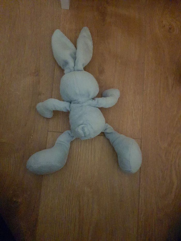 Lapin bleu - photo numéro 2