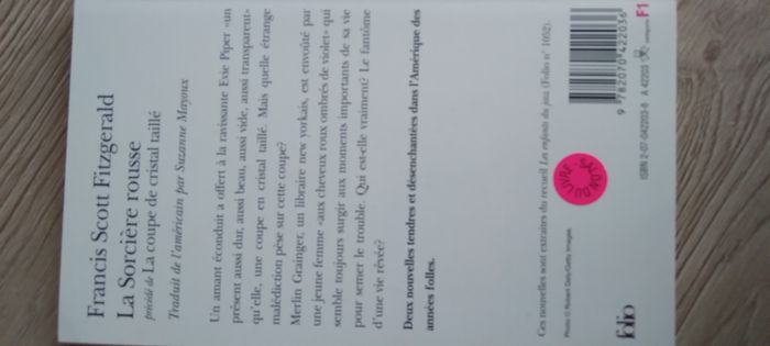 Livre "La sorcière rousse" de Francis Scott Fitzgerald - photo numéro 2