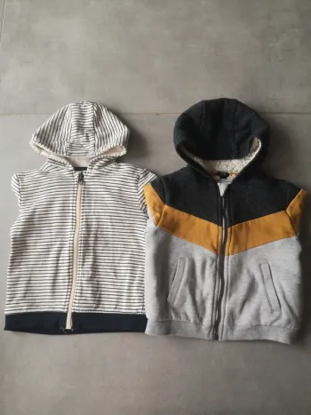 Vestes