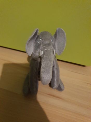 Singe, éléphant, pirates