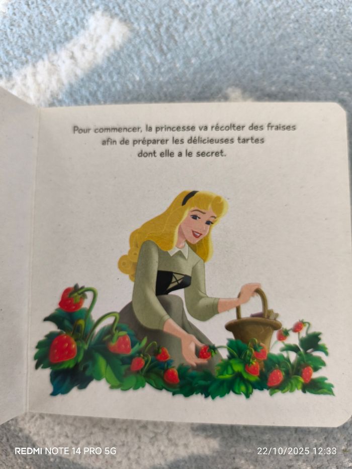 Le bal de la princesse Aurore - photo numéro 4