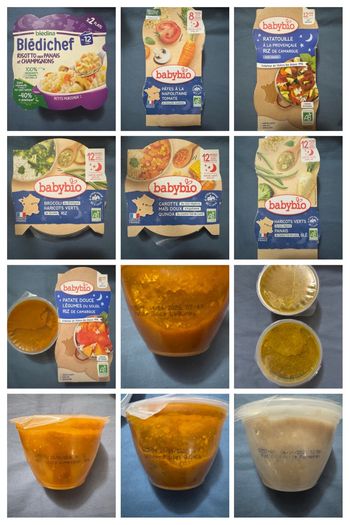 Lot repas bébé Babybio et Blédina – dès 8/12 mois