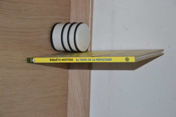 Enquête Mystère – Au temps de la préhistoire *Deux Coqs d’Or* - photo numéro 4