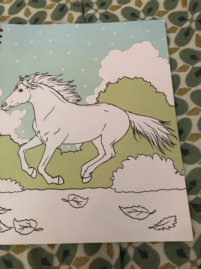 Livre de coloriage miss Mélody - photo numéro 10