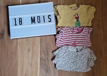 Lot de tee-shirt