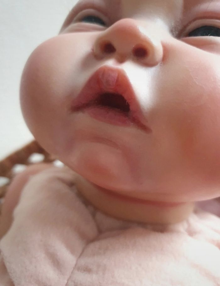 Bebe reborn authentique reborn avec certificat. - photo numéro 6