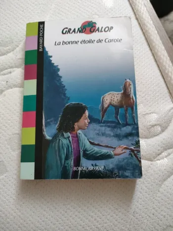 Livre la bonne étoile de Carole