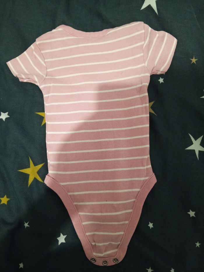 Bodie "Titi" _ 2/6 mois - photo numéro 3