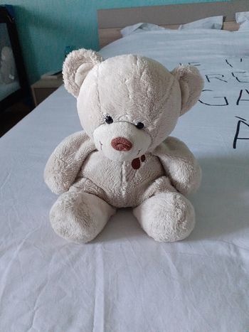 Ours en peluche