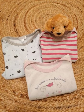 Lot de 3 body manches longues 12M