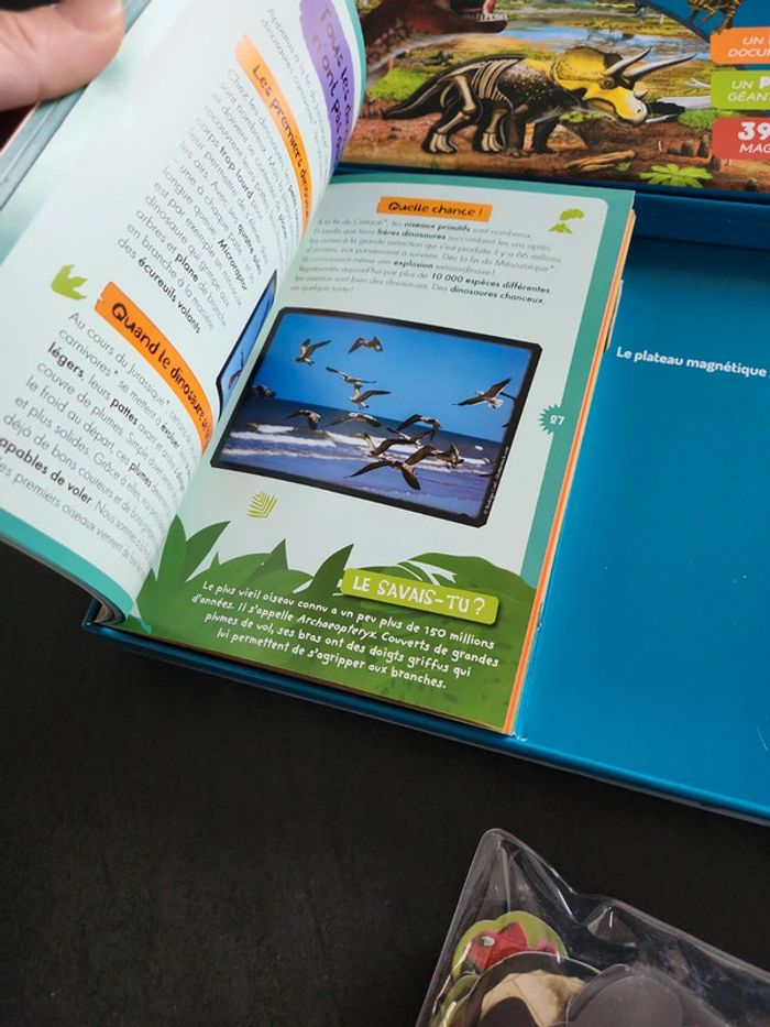 A la découverte des dinosaures - photo numéro 4