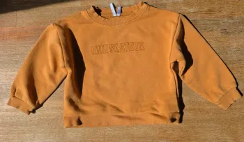 Pull très bon état 23 mois