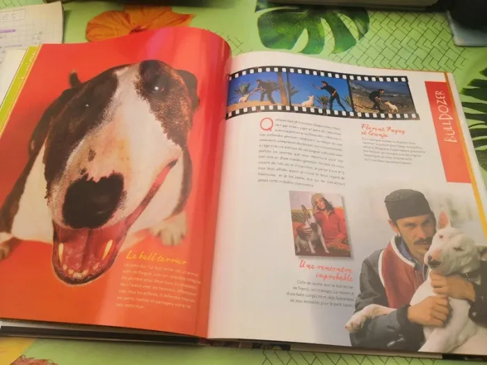Livre 30 millions d'amis - Histoires de stars et de leurs animaux - photo numéro 4