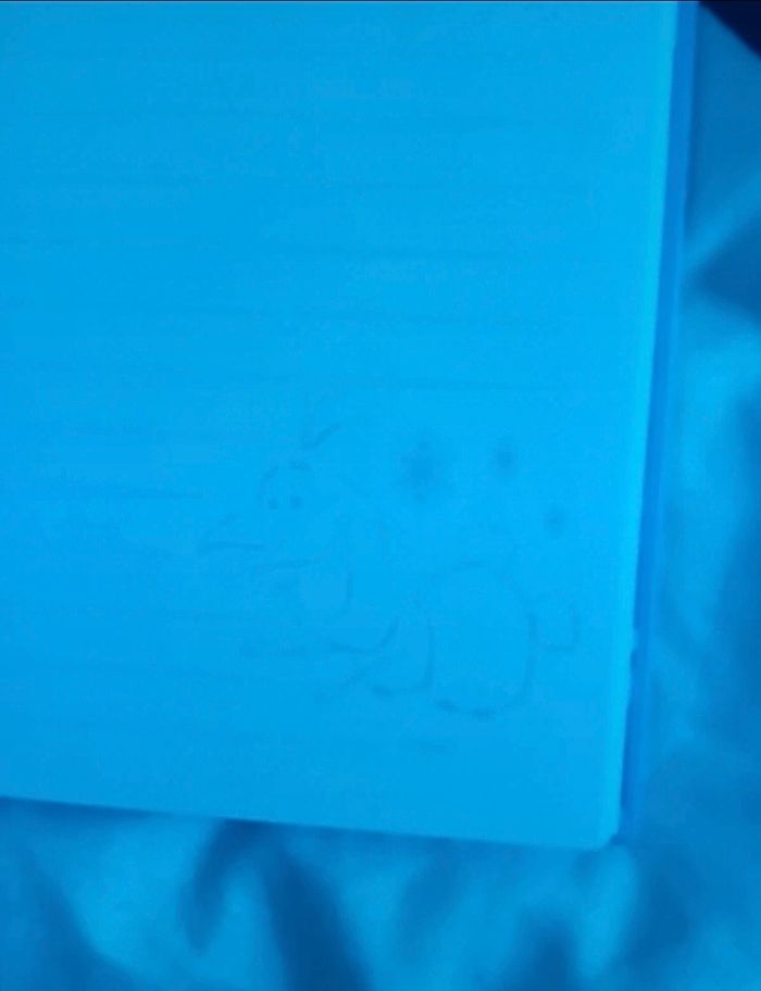 Cahier reine des neiges II 3D - photo numéro 5