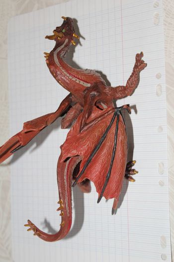 dragon