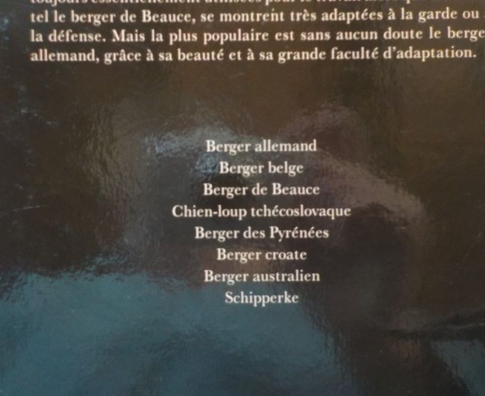 CHIENS DE BERGER Les chiens La grande encyclopédie visuelle - photo numéro 3