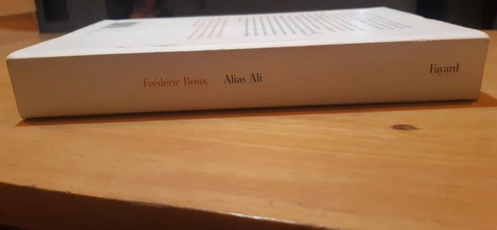 Roman Alias Ali - photo numéro 4