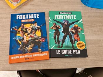 Lot livre fortnite