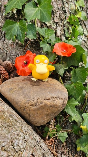 Super figurine Pokemon Nintendo Psykokwak