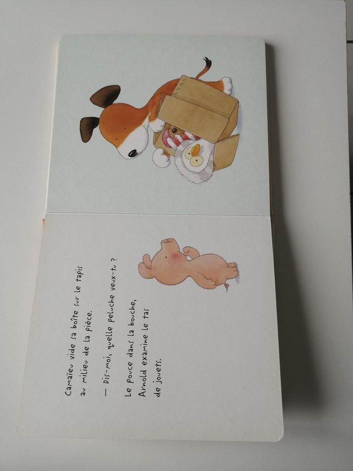 camaieu le chien malicieux, livre enfant - photo numéro 4