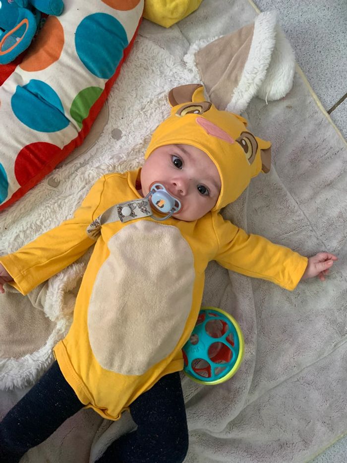 🌸Bodie Simba roi lion 🌸 - photo numéro 4