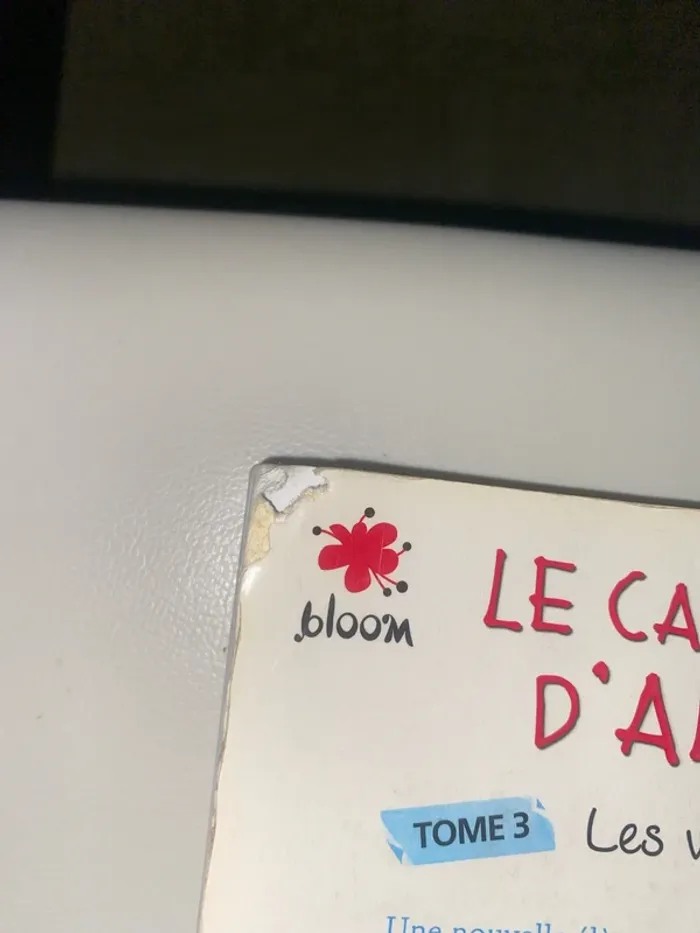 Le carnet d’Allie - photo numéro 5