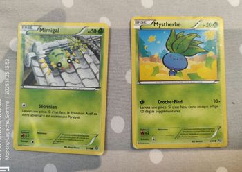 Lot 2 Cartes Pokémon base 2015