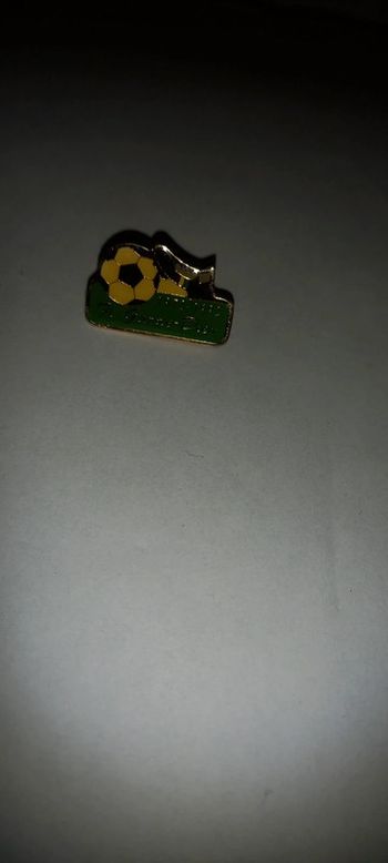 Pin's 7 ème garde dieu