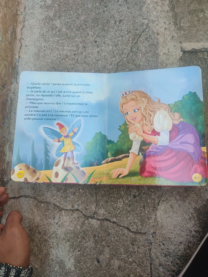 Livre le secret de la princesse - photo numéro 16