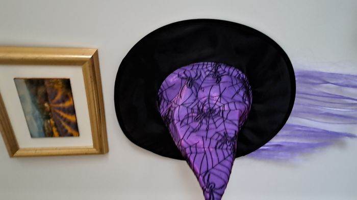 deguisement enfant - photo numéro 6