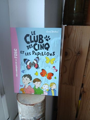 Le club des cinq et les papillons