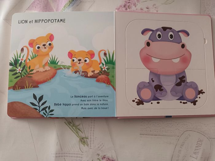 Livre meli mélo rigolo - photo numéro 6