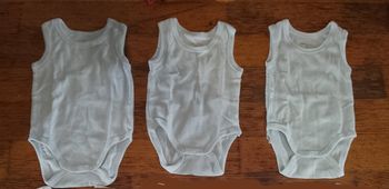 Bodies