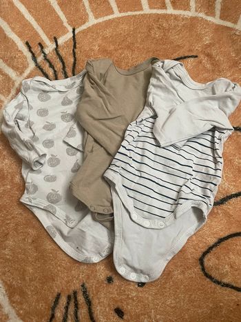 Lot bodies
