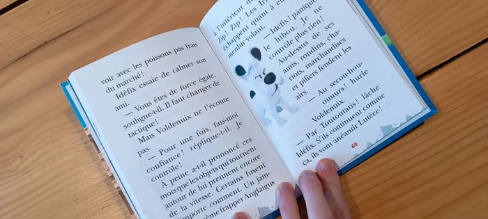 Livre enfant Idéfix et les irréductibles - photo numéro 3