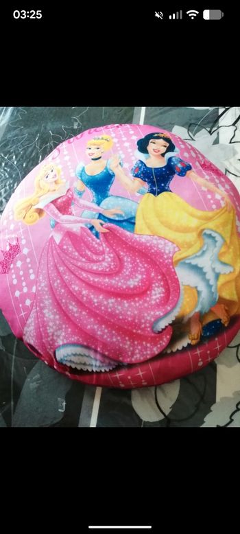 Beau coussin princesse Disney.