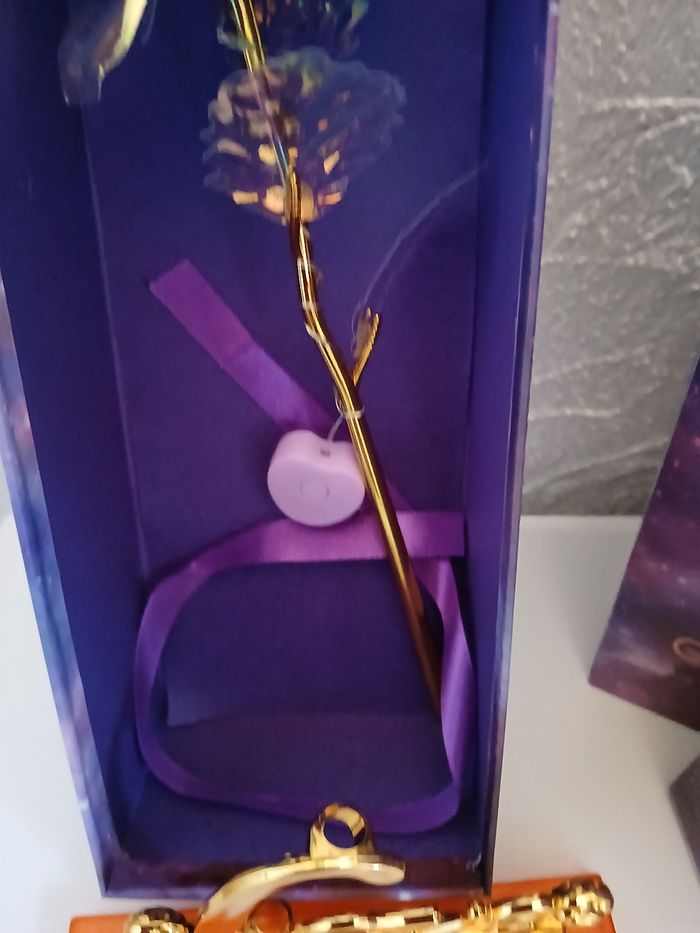 Rose éternel - photo numéro 5