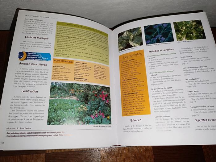 🌟Livre neuf Le traité rustica du potager 🌟 - photo numéro 2