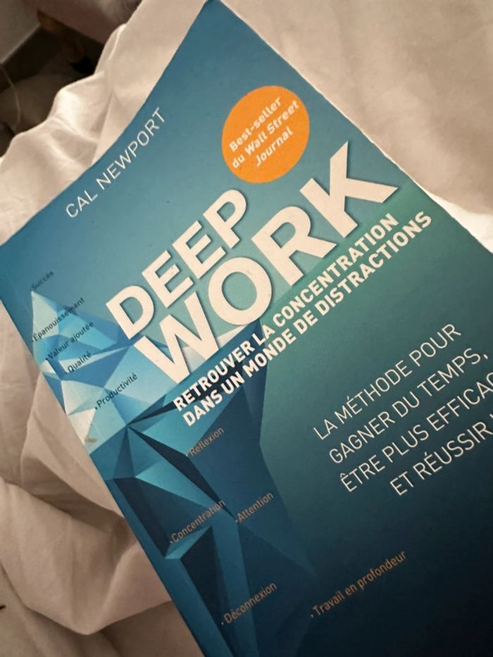 Deep Work livre - photo numéro 3