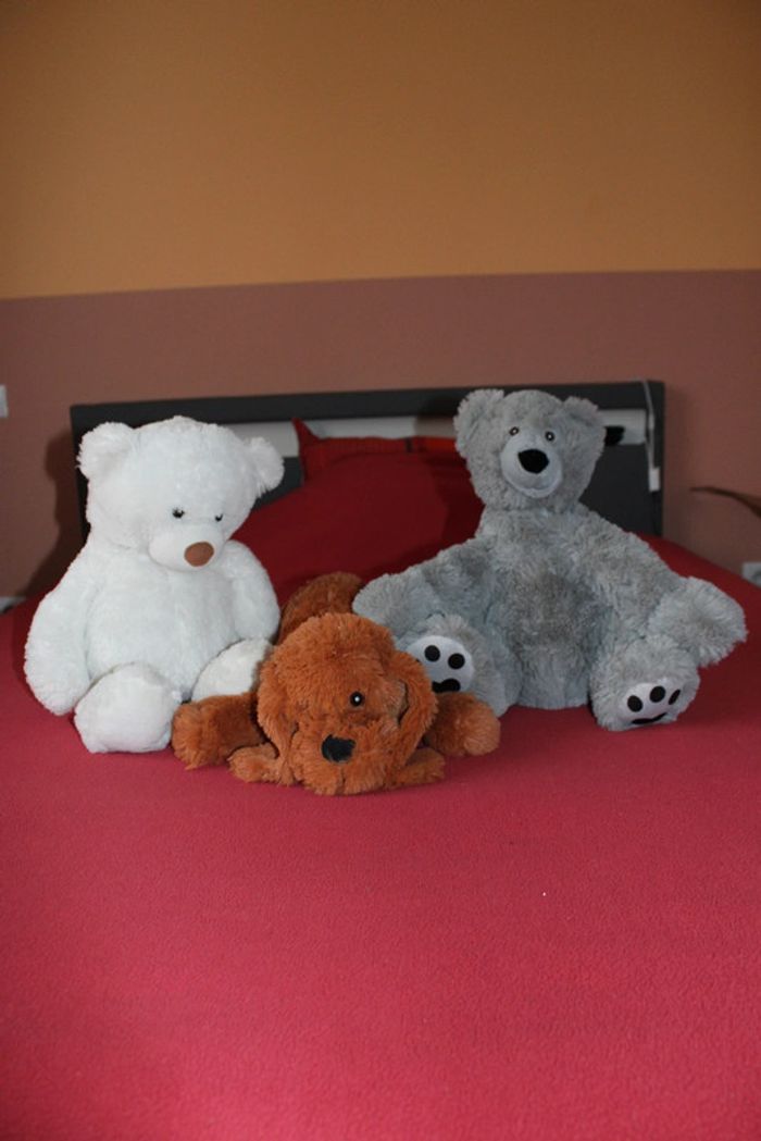 Lot de 3 belles peluches (2 nounours et 1 chien) - photo numéro 2