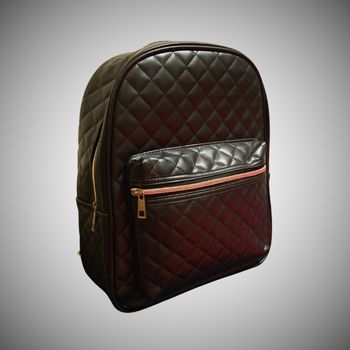 Sac à Dos Femme – Similicuir Noir Matelassé – Zips et Détails Dorés – Chic et Tendance – 35 x 12 x 30 cm – Neuf, Sans Étiquette
