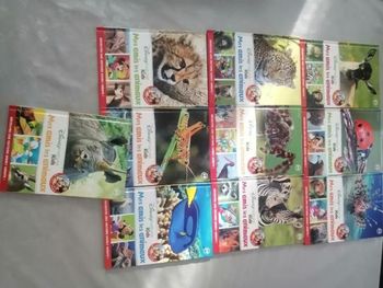 Lot de 10 livres disney animaux nature