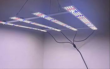 Lampe LED 120 w neuf à spectre complet pour culture Neuf