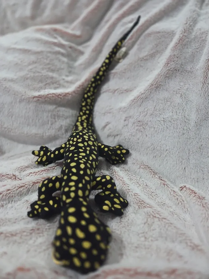Salamandre
