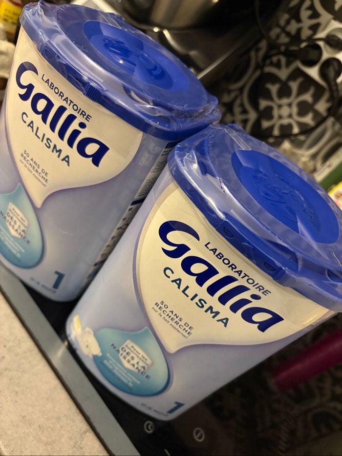 Gallia calisma 1